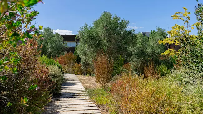 11_pedro_arrupe_espaco_exterior_01_t1liofkd2s.jpg